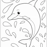 coloriage Dauphin gratuit à imprimer