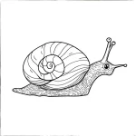 coloriage Escargot à imprimer gratuitement pdf