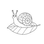coloriage Escargot sur une feuille gratuit a imprimer