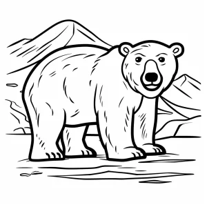 coloriage Ours pour enfants à imprimer