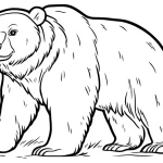 image de coloriage Ours pour enfant
