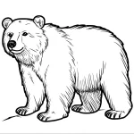 télécharger coloriage Ours gratuit