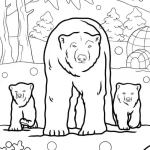 coloriage Ours à imprimer pdf