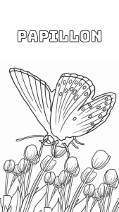 coloriage Papillon d