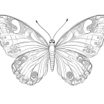 coloriage Papillon a imprimer gratuit