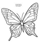 Papillon