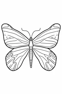 coloriage Papillon pour enfant de 4 ans