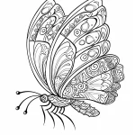 coloriage Papillon en ligne
