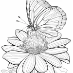 coloriage Papillon en ligne pour enfant