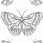 coloriage Papillon et apprentissage