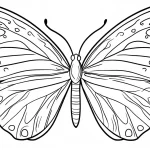 coloriage Papillon pour enfant de 2 ans