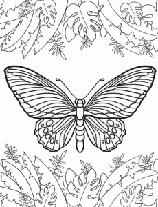 coloriage Papillon à imprimer pdf