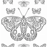 coloriage Papillon à imprimer gratuitement