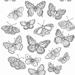 coloriage Papillon gratuit a imprimer