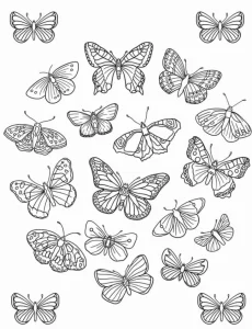coloriage Papillon gratuit a imprimer