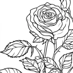 coloriage Rose a imprimer gratuit