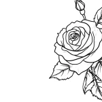 coloriage Rose pour enfant de 7 ans