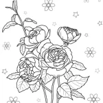 coloriage Rose et apprentissage