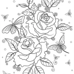 coloriage Rose à imprimer a4