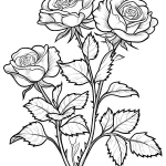 coloriage Rose a colorier en ligne gratuitement