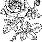 coloriage Rose gratuit à imprimer