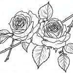 coloriage Rose à imprimer pdf gratuit