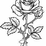 coloriage Rose de pour enfants