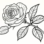 coloriage Rose à imprimer gratuitement