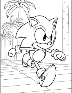 coloriage Sonic à imprimer pdf gratuit