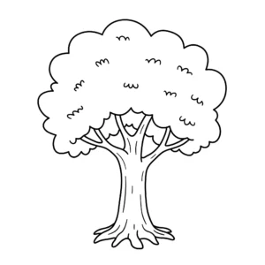 coloriage Une forêt de sapins a imprimer gratuitement