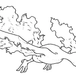 coloriage pokemon legendaire à imprimer pdf