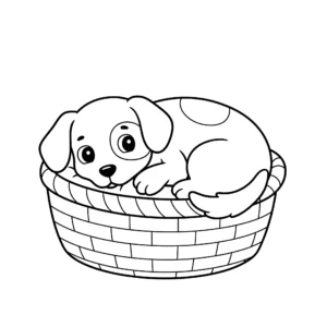 coloriage Un chien qui dort dans un panier a dessiner et imprimer