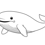 coloriage Baleine et dessins