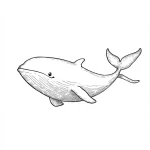 coloriage Baleine à imprimer pdf gratuit