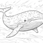 a imprimer coloriage Baleine gratuit