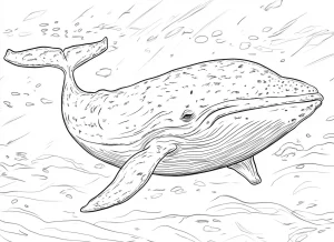 a imprimer coloriage Baleine gratuit