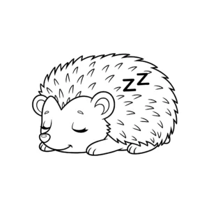 imprimer coloriage Bébé hérisson dormant pour enfant
