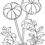 coloriage Bonbon educatif pour enfant