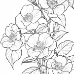 coloriage Bouquet De Fleurs et apprentissage