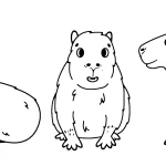 coloriage Capybara à imprimer kawaii