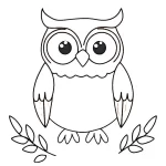 coloriage Hibou d