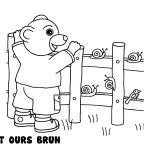 coloriage Petit Ours Brun gratuit