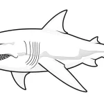 coloriage Requin pour enfant de 3 ans