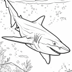 coloriage Requin gratuit