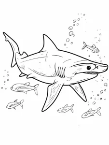 télécharger coloriage Requin gratuit