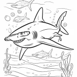 coloriage Requin à imprimer pour enfant de 9 ans