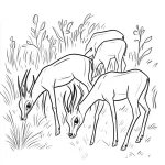 coloriage Savane a imprimer gratuitement