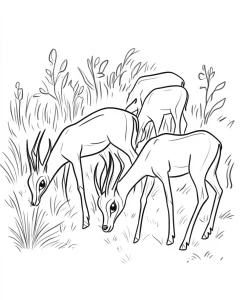 coloriage Savane a imprimer gratuitement
