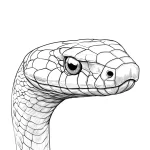 coloriage Serpent pour enfant de 6 ans