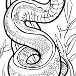 coloriage Serpent pour enfant de à imprimer